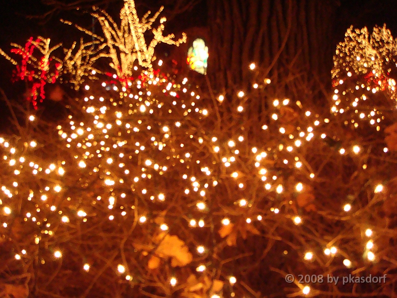 031 Toledo Zoo Light Show [2008 Dec 27].JPG - Scenes from the Toledo Zoo Light Show.
